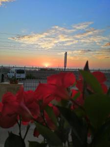 Casamare Baldassarri