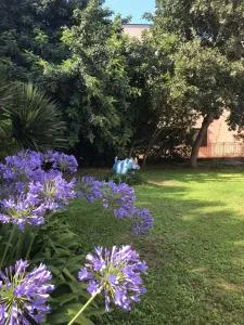 Giorgio's Inn - Soldano