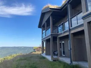 Skagahøgdi Apartment 19 - Nesbyen