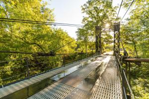 Maisons de vacances Villa Pivoine - Chateau La Martinette : photos des chambres