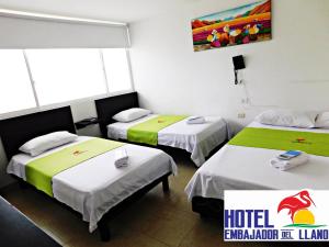 Hotel Embajador del Llano