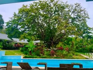 Aves Hotel Montezuma - Cóbano