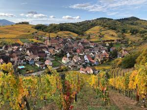 Appartements Le Gite du Sommerberg : photos des chambres