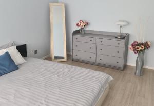 Alejas Lux Apartment