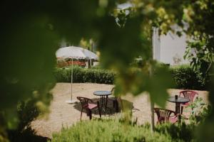 Ruža Apartmani Zadar