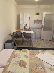 Apartmán s terasou