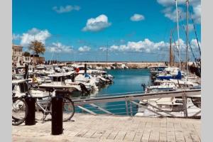 Maisons de vacances La Maison de la Tribu - Ile de Re - La Flotte : photos des chambres