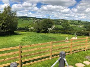 The Shepherds Hut at Hafoty Boeth