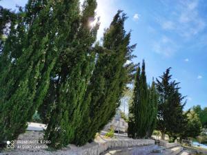 Apartman Aria & Amadea