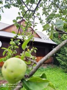 Gospodarstwo Agroturystyczne U Stasików