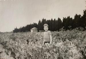 Villas Mas de la Cadeniere : photos des chambres