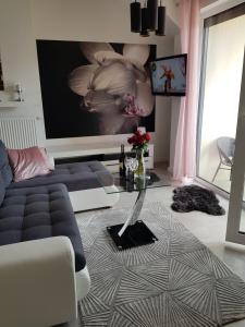 Apartament Kwiat Lotosu