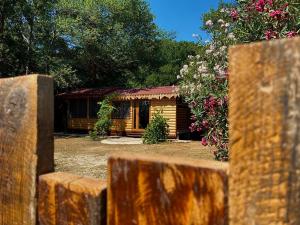 Sojenica Pustolov - Ada Bojana