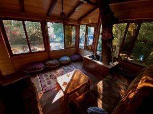 Sojenica Pustolov - Ada Bojana