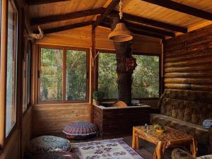 Sojenica Pustolov - Ada Bojana