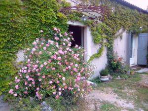 B&B / Chambres d'hotes Le Domaine de Belle : photos des chambres