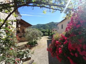 Tuscan Charm with Pool & Views