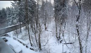 Penthouse luxury Predeal View