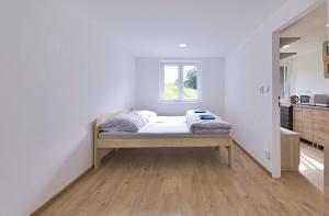 Chata na sjezdovce - Klepáčov