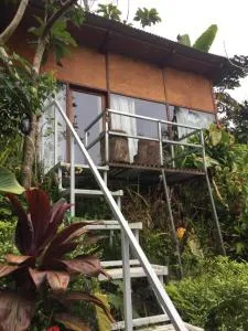 jungleadventure cabin camping - Bedugul