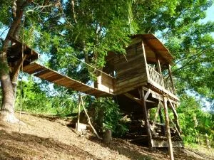 古希尼恩花园住宿加早餐旅馆 - 旧阿比唐