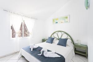 Casa Higo · Private Pool · Ocean View · 4 Bedrooms