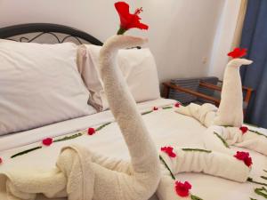 Marina Wadi Degla Hotel