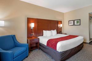 King Room with Roll-In Shower - Accessible/Non-Smoking room in Comfort Suites Fredericksburg North