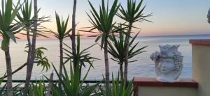 Attico delle Pomelie