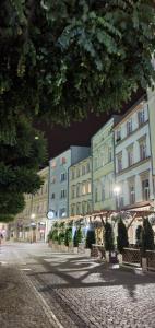 Apartament nad Bristolką