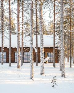 Raanakka House - Premium Villa at Levi