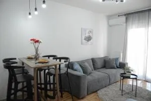 Apartment DobraYa Grey - بيتروفارادين