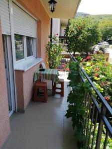 Sokobanja apartman Aviva