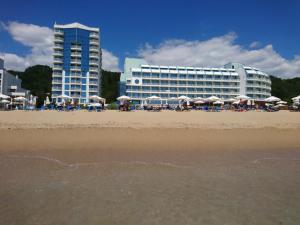 Studio Berlin golden beach