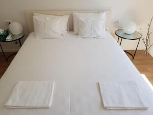 Marina Rijeka Center apartments 