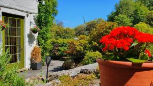 Foxghyll Country House