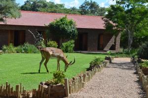 Mon Repos Guest Farm