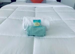 Adorable private apartments in the Heart of Miami!