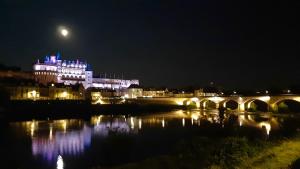 Appartements En plein Coeur : charmant gite centre Amboise : photos des chambres