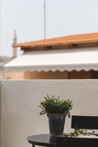 The Residence of the Old Port