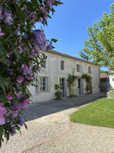 Maisons de vacances Gite des oiseaux : photos des chambres