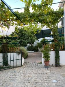 Casa do Menino Jesus