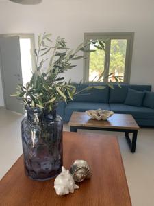 Chrisantakis appartments