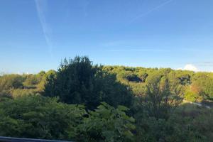 Beautiful apartment at entrance to Cape Kamenjak 