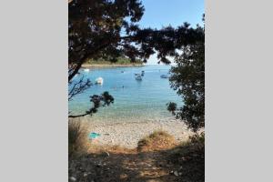 Beautiful apartment at entrance to Cape Kamenjak