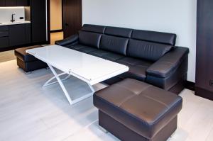 Beautiful apartment in Chicago tower.