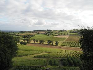 Maisons de vacances Le Mas de Doat, Gite de Charme 4 etoiles dans le Triangle d Or proche Gaillac et Albi : photos des chambres