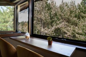 Zlatibor Apartman & Spa Casa Perfetta