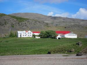 Brekka í Lóni Farm Stay