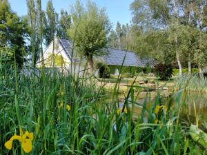 B&B / Chambres d'hotes La Flandre entre plaine, mer et marais : photos des chambres